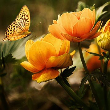 Eileen Geyer's obituary , Passed away on July 9, 2020 in Chicago, Illinois