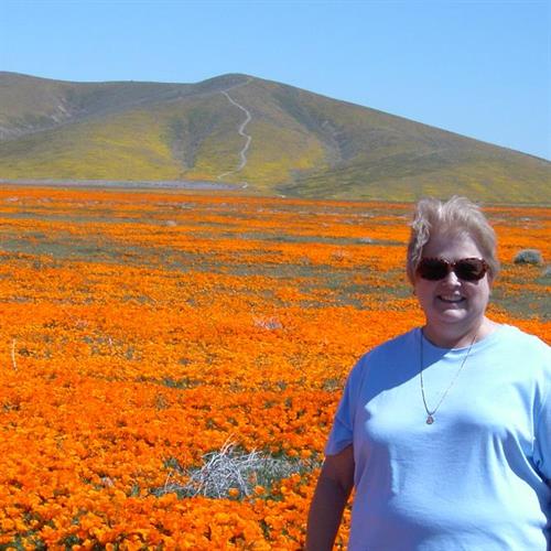 Shirley Ann Handley