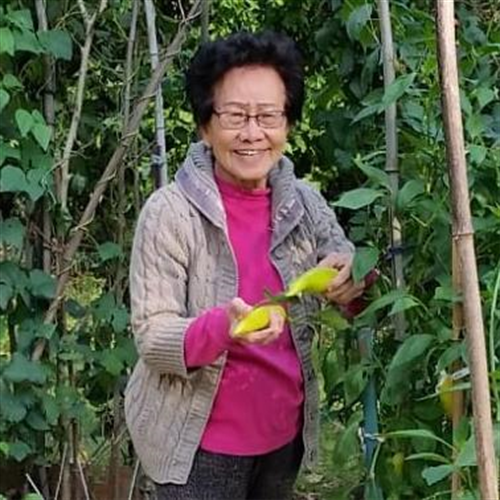 Siew Yen Ng's obituary , Passed away on December 28, 2019 in Placentia, California