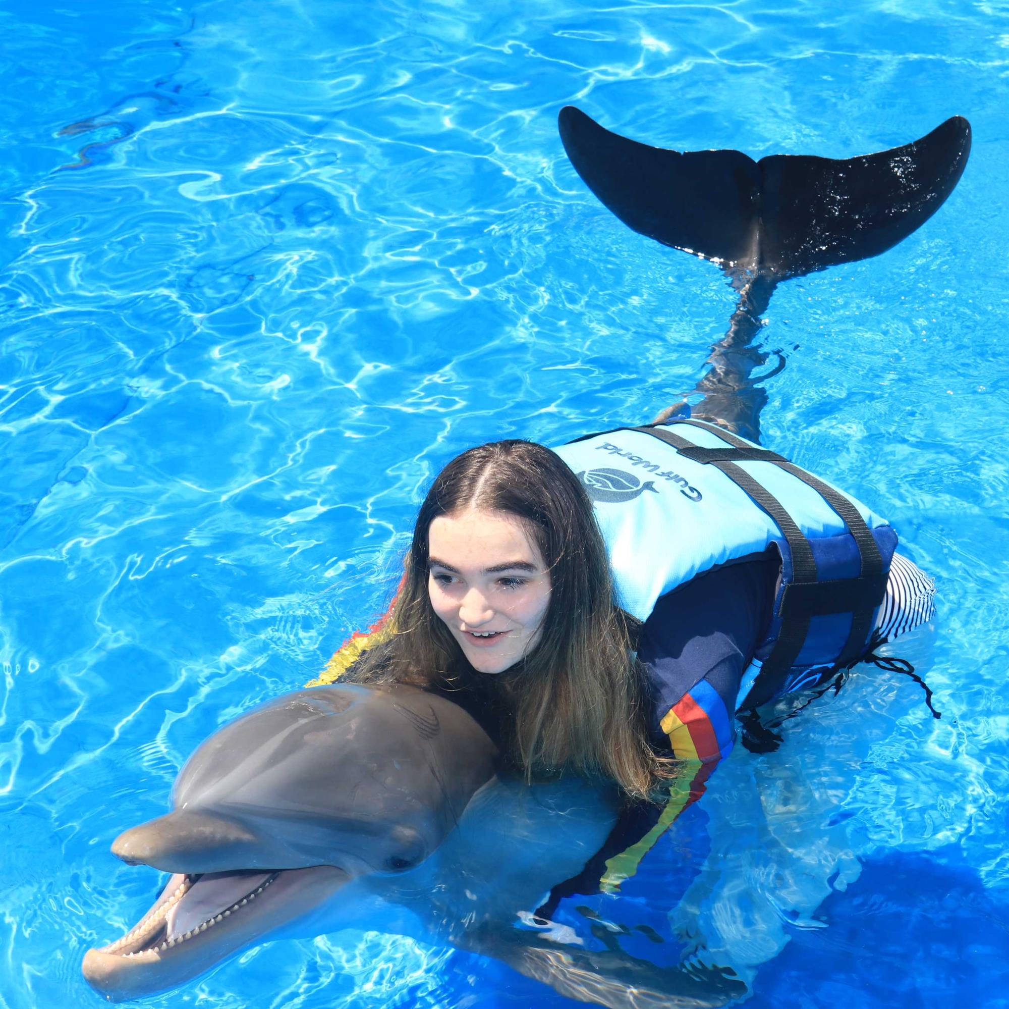 Cooper Lagreca's obituary , Passed away on January 18, 2020 in Waynesville, North Carolina