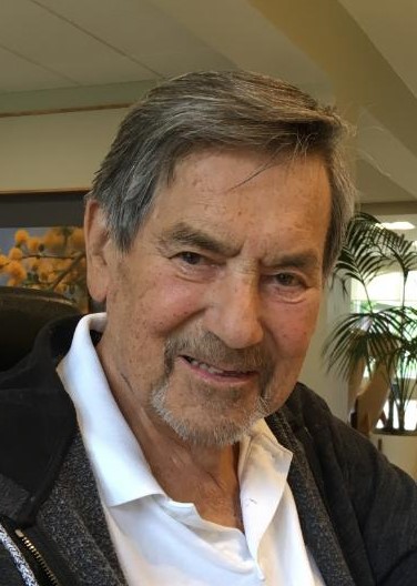 Ronald Raymond Bartek's obituary , Passed away on February 15, 2020 in Pinckney, Michigan