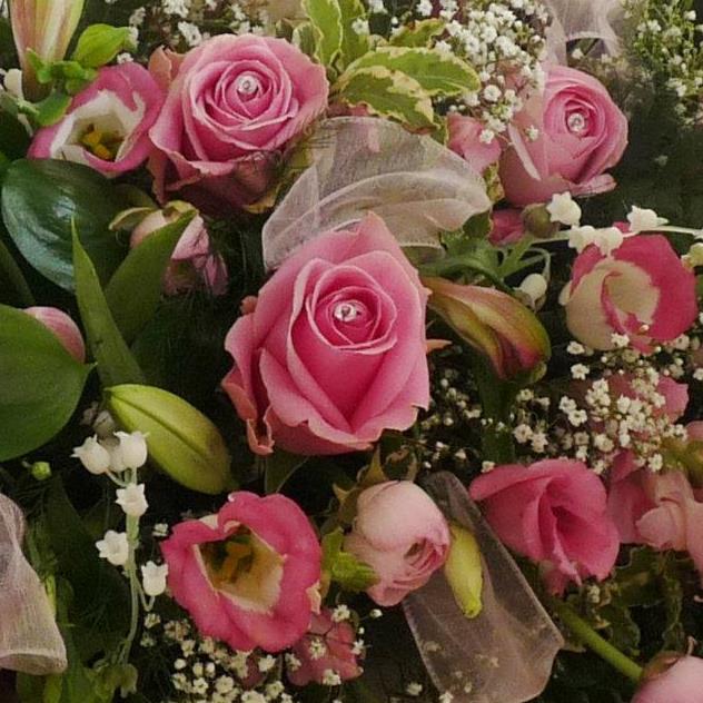 Patricia Ann (Tobin) Hoins Obituary