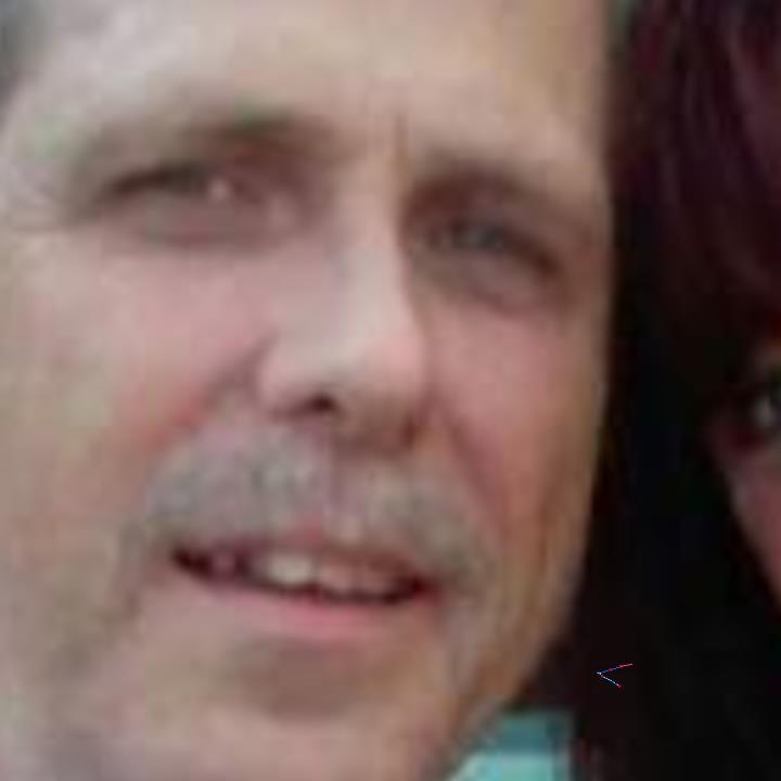 Ray F. Warren Obituary