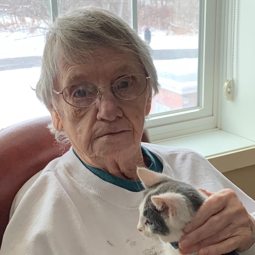 Dorothy P. Livingstone Obituary