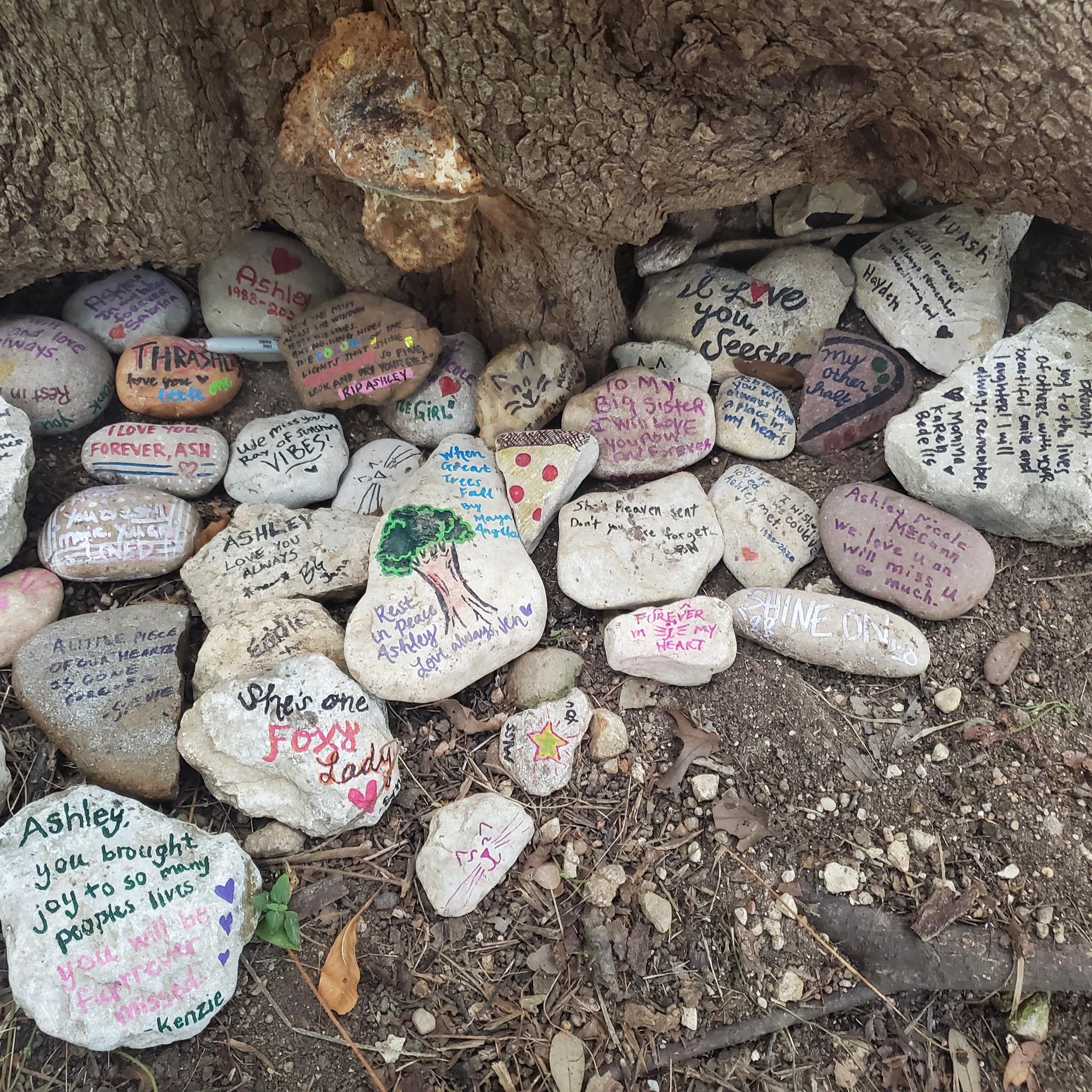 Ashley Nicole McCann Obituary (1988 2020) Austin, Texas