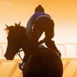 Dominic Michael Terry