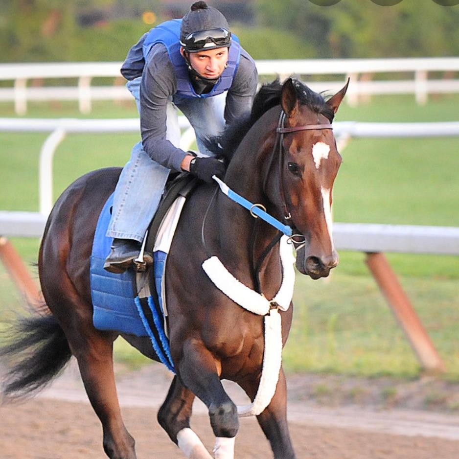 Dominic Michael Terry