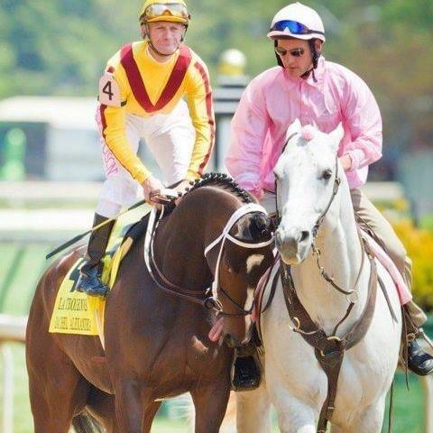 Dominic Michael Terry