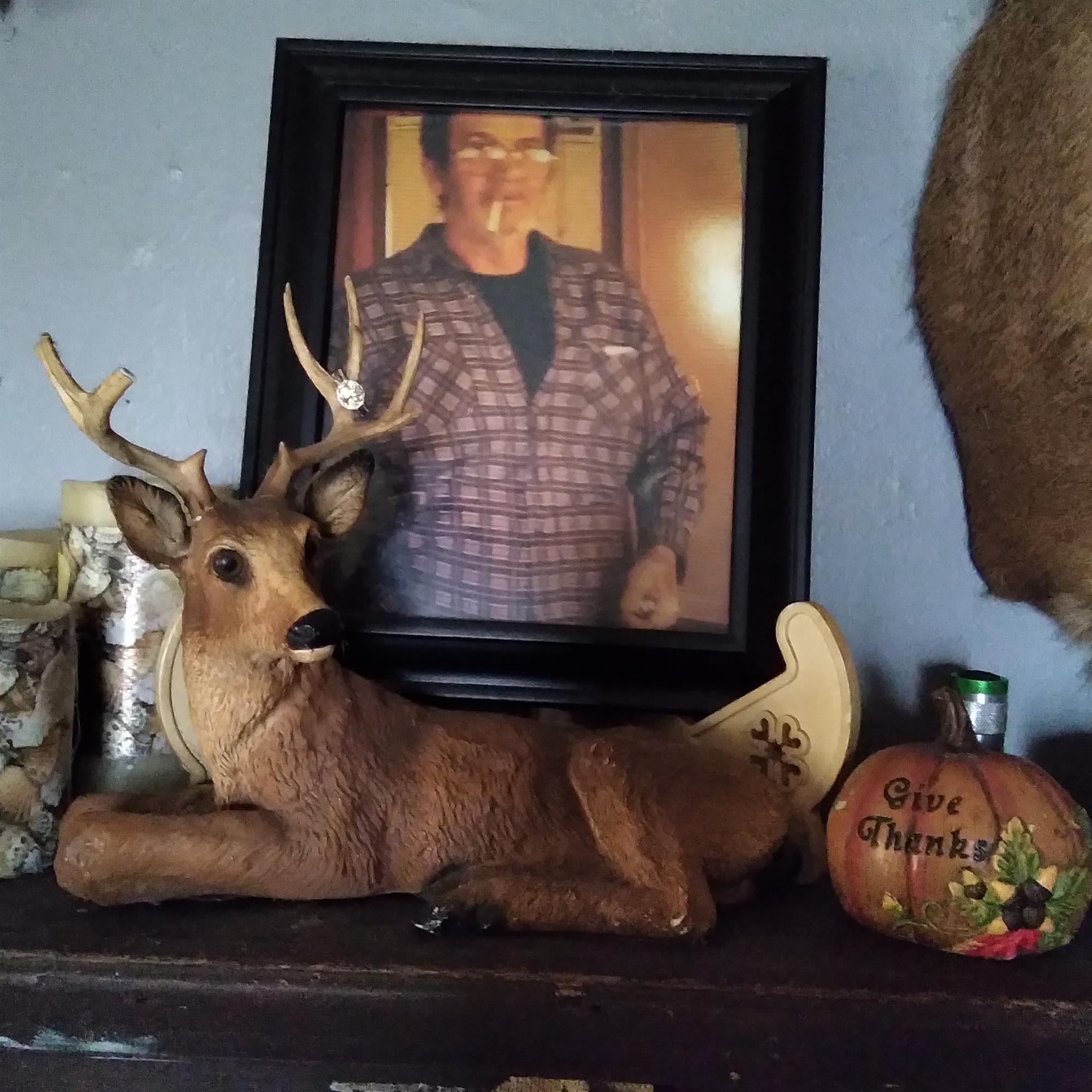 Harlow Willis Obituary