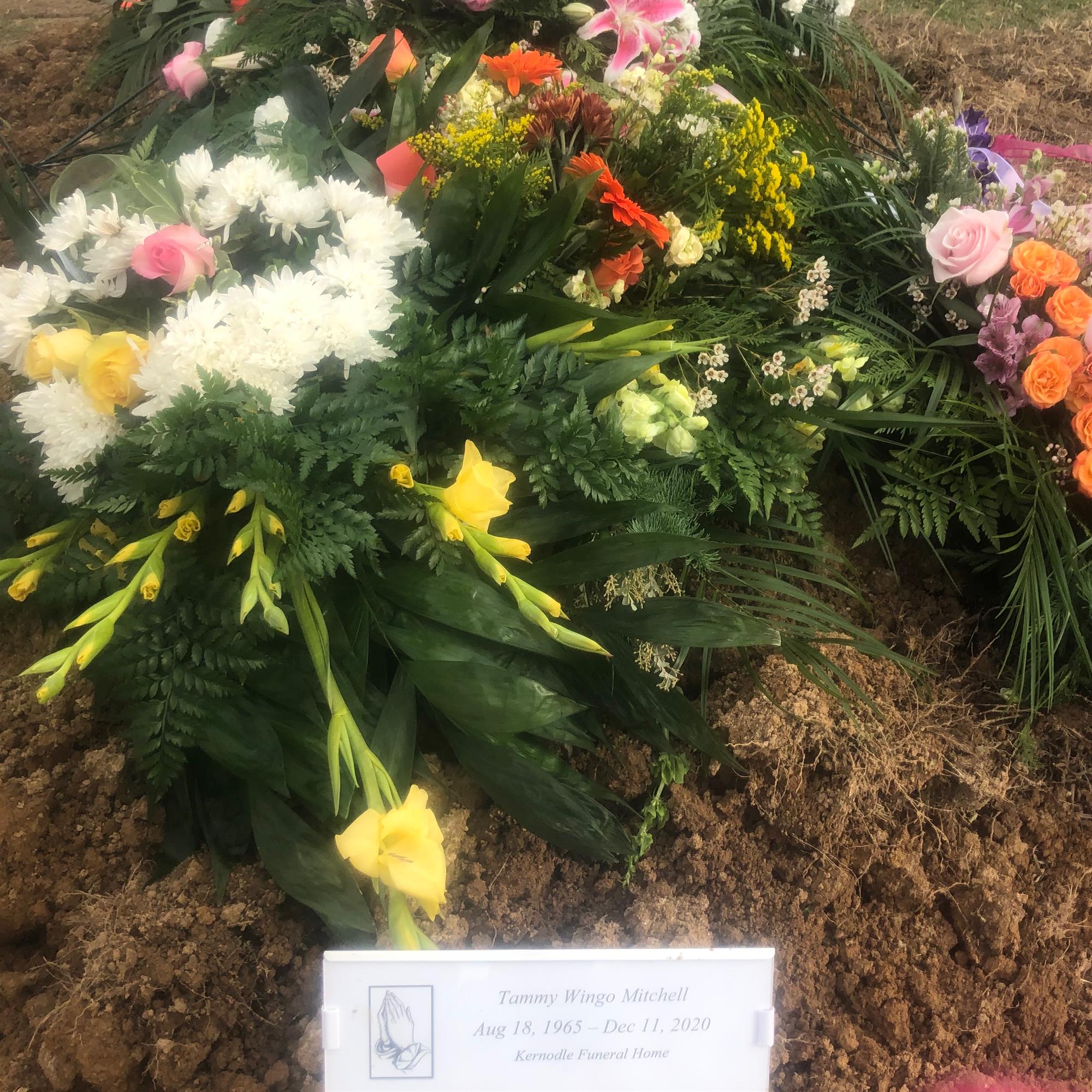 Tammy R. Wingo Mitchell