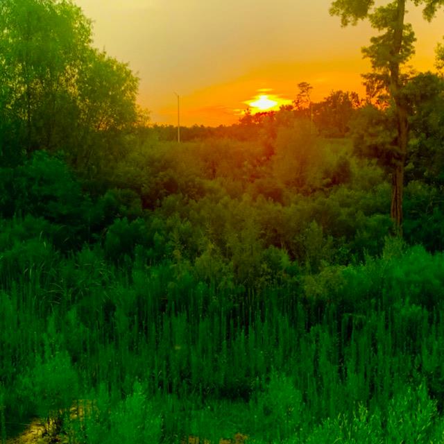Mrs. Nancy Aleta Marie (Reynolds) Stone's obituary , Passed away on May 29, 2021 in Sparkman, Arkansas