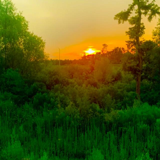 Nancy Aleta Marie (Reynolds) Stone