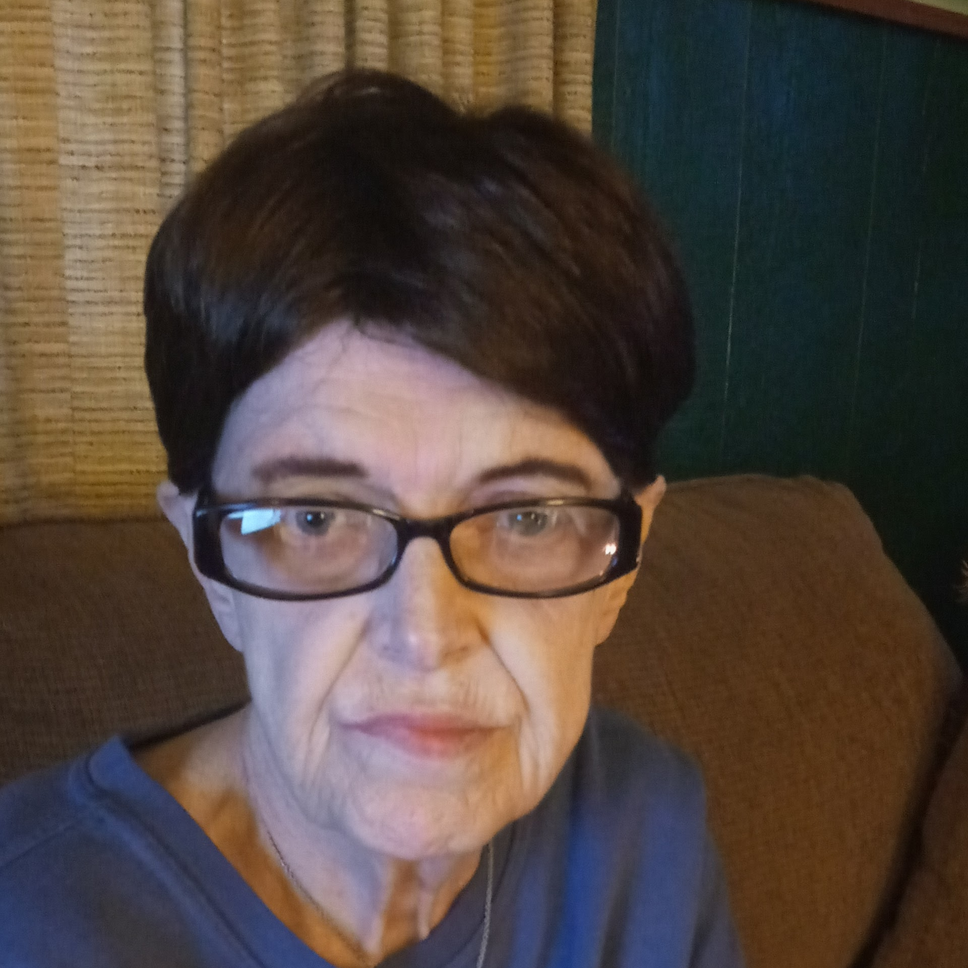 Donna K. Fulfer Obituary