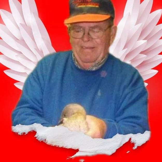 Herbert Holdiness Obituary