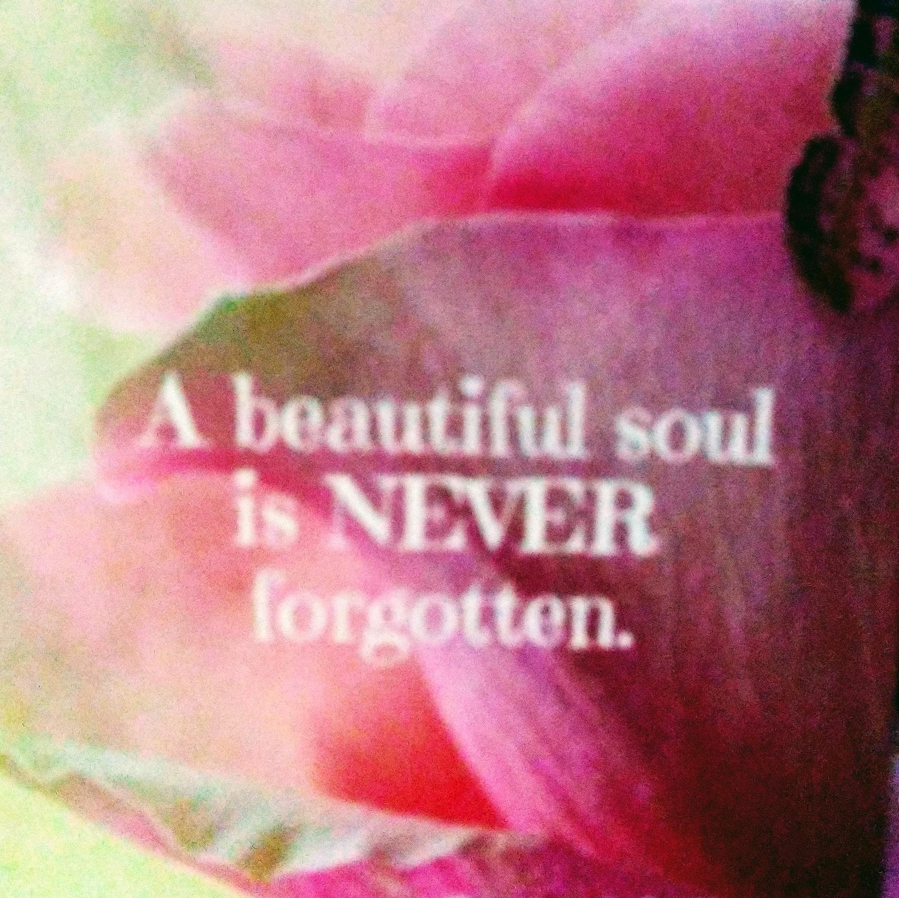 Joseph Michael Csincsar