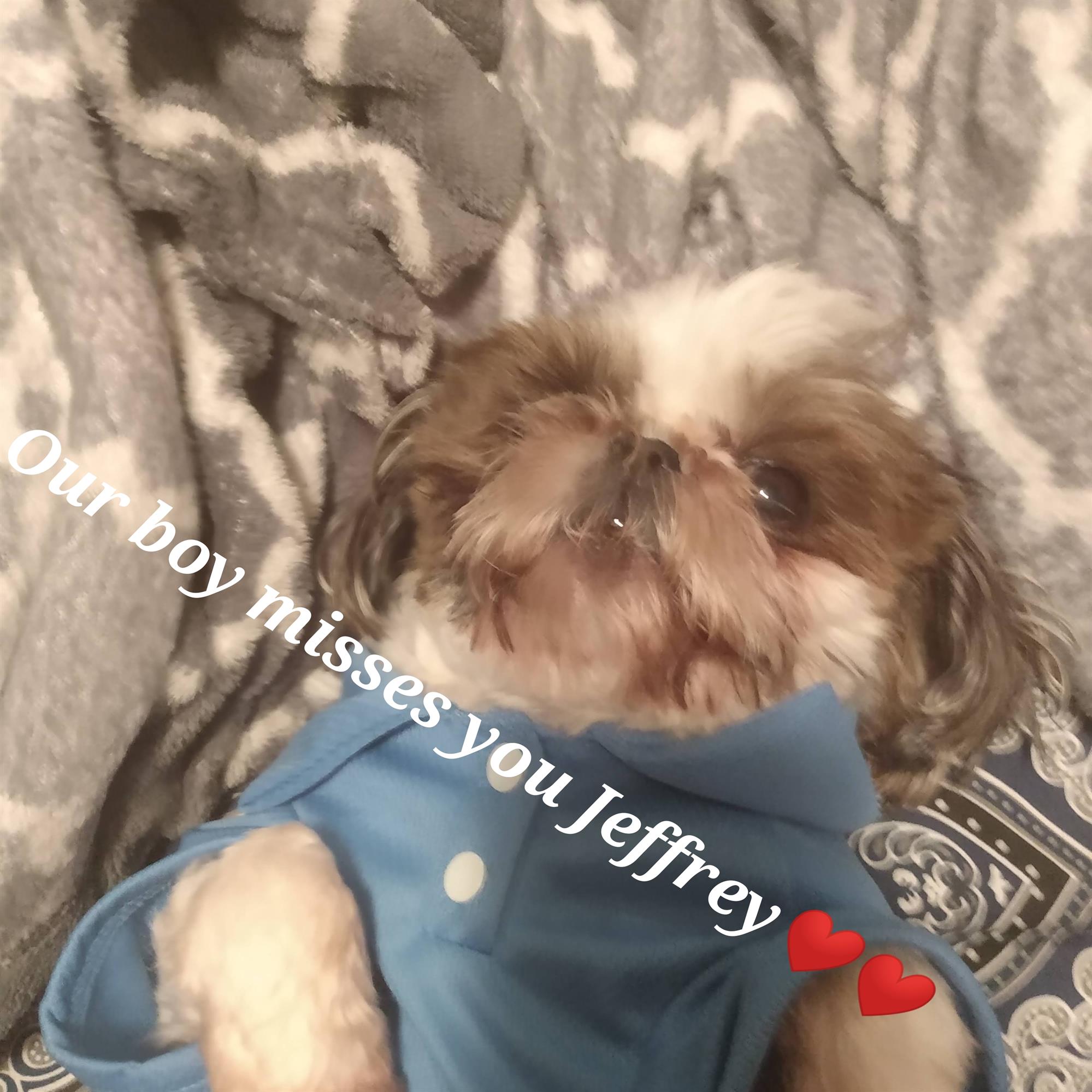 Jeffrey Alan Saucier