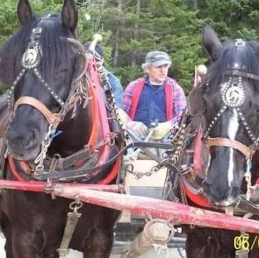 Lyman Allison Craswell