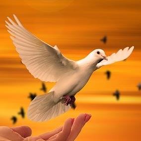 Timothy L. Effertz's obituary , Passed away on November 25, 2021 in Minot, North Dakota