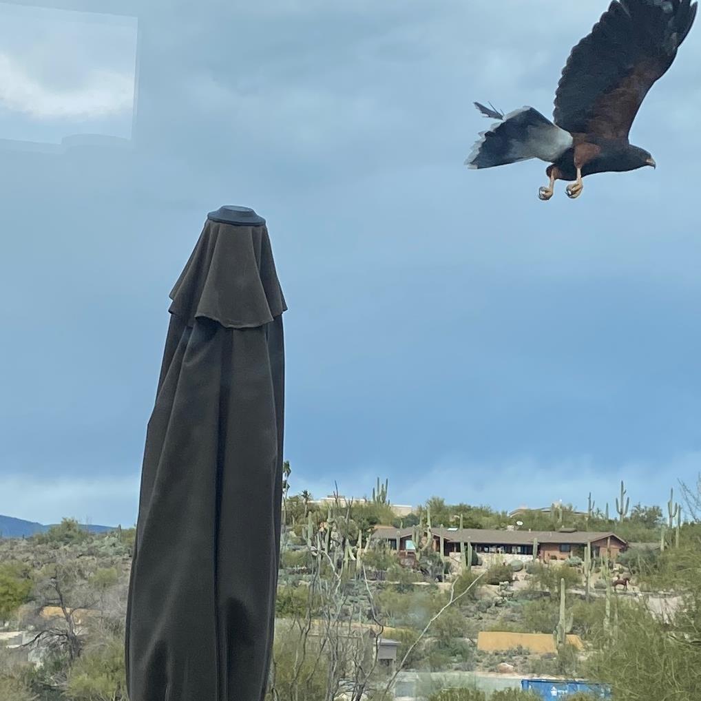 Walter Clifton Stone III