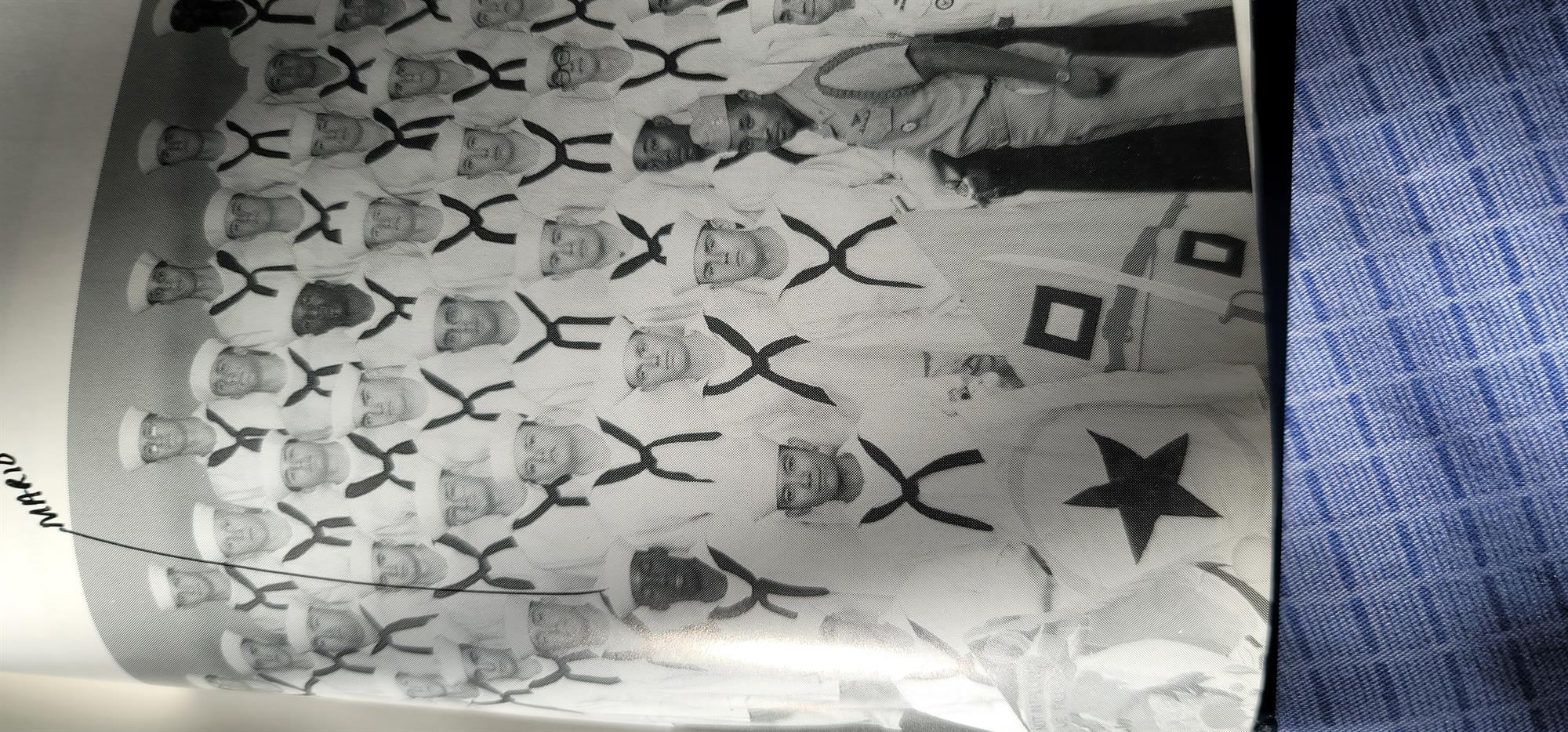 Saul Reginald Fleming