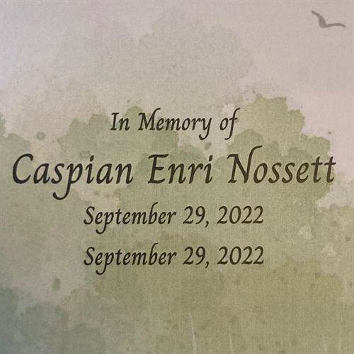 Caspian Enri Nossett's obituary , Passed away on September 29, 2022 in Centralia, Illinois