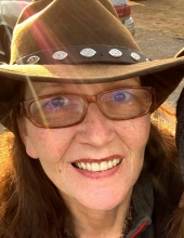 Diane Jeannette Castillo's obituary , Passed away on October 18, 2022 in Cahone, Colorado