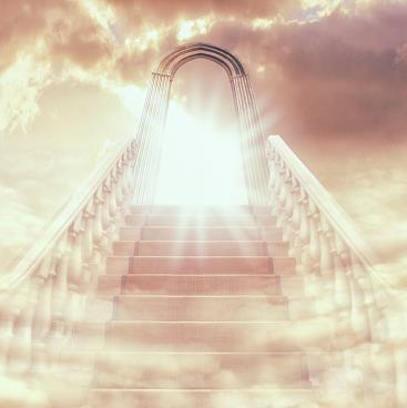 Randy M. Murray Obituary