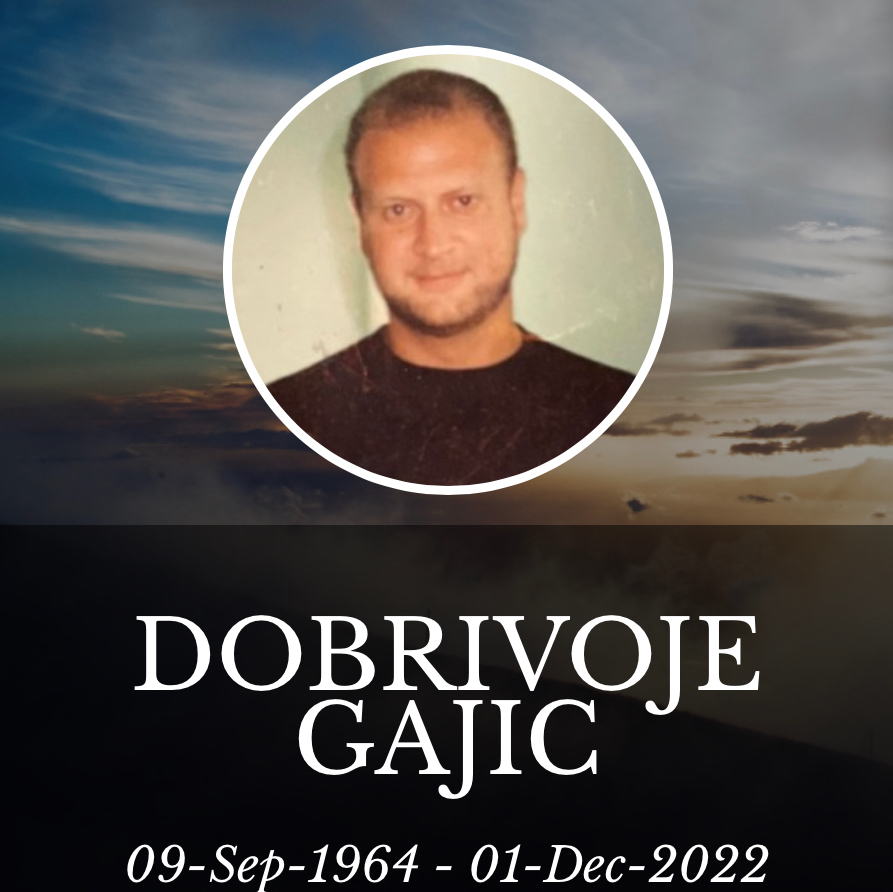 Dobrivoje Gajic