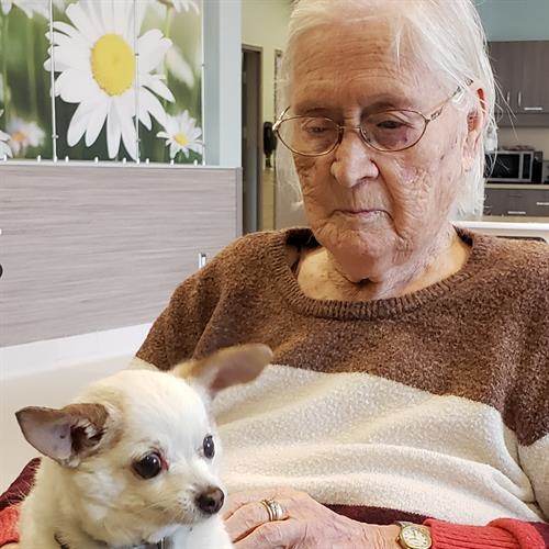 Lillian Margaret Zimmer