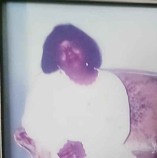 Silvia M Williams's obituary , Passed away on January 14, 2023 in Florissant, Missouri