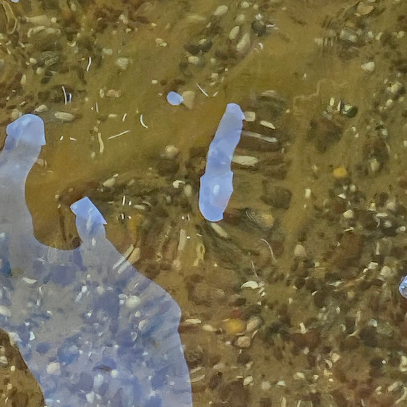 Stephanie Parker Jennings