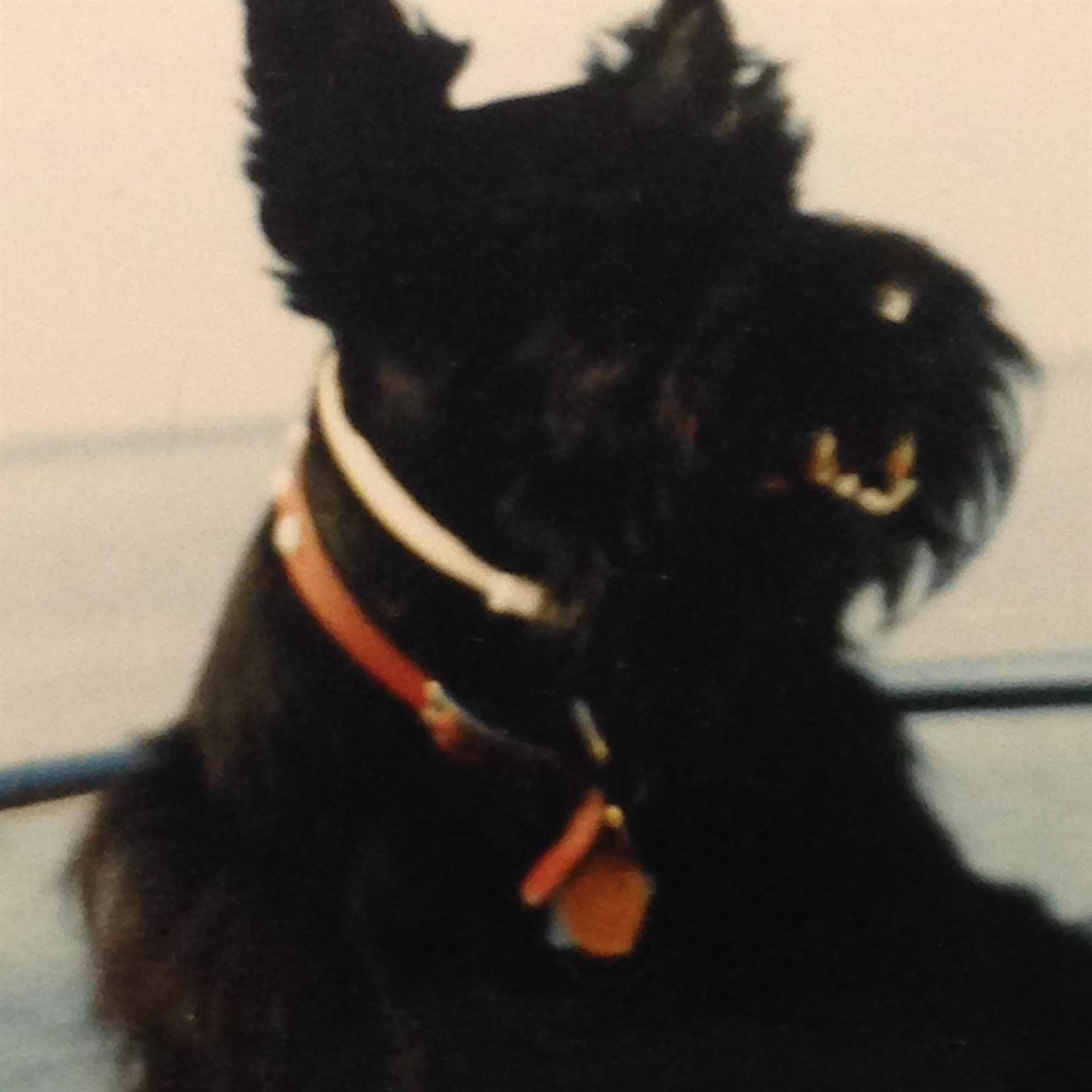 June Elizabeth Desmarais