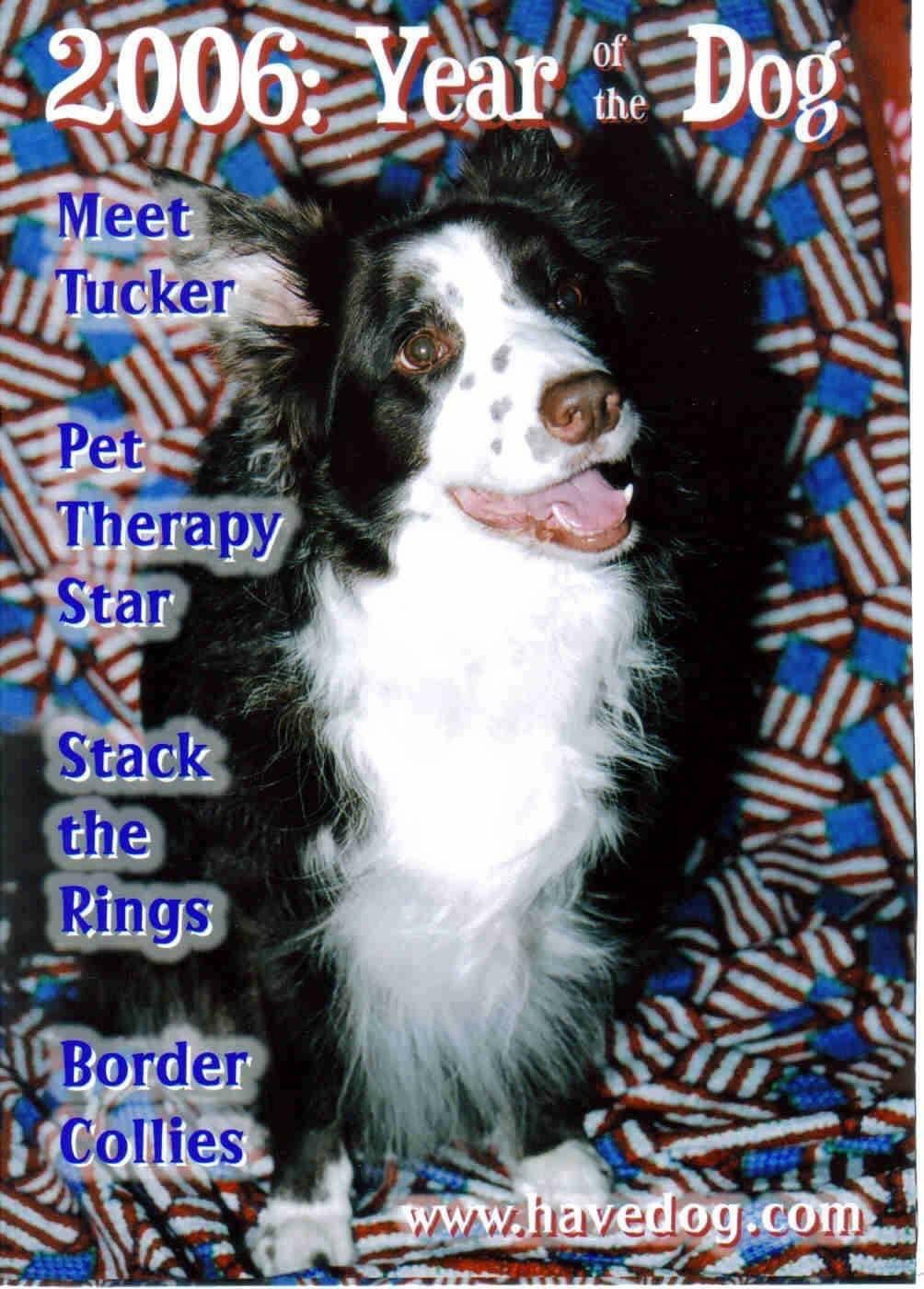 Tina K. Valant-Siebelts