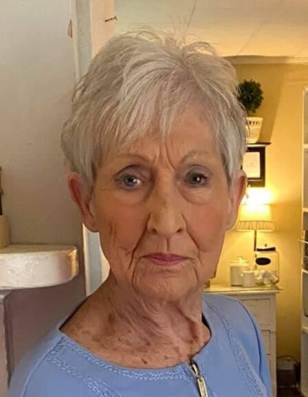 Shelbye Jean Stone's obituary , Passed away on April 11, 2023 in Franklin, Kentucky