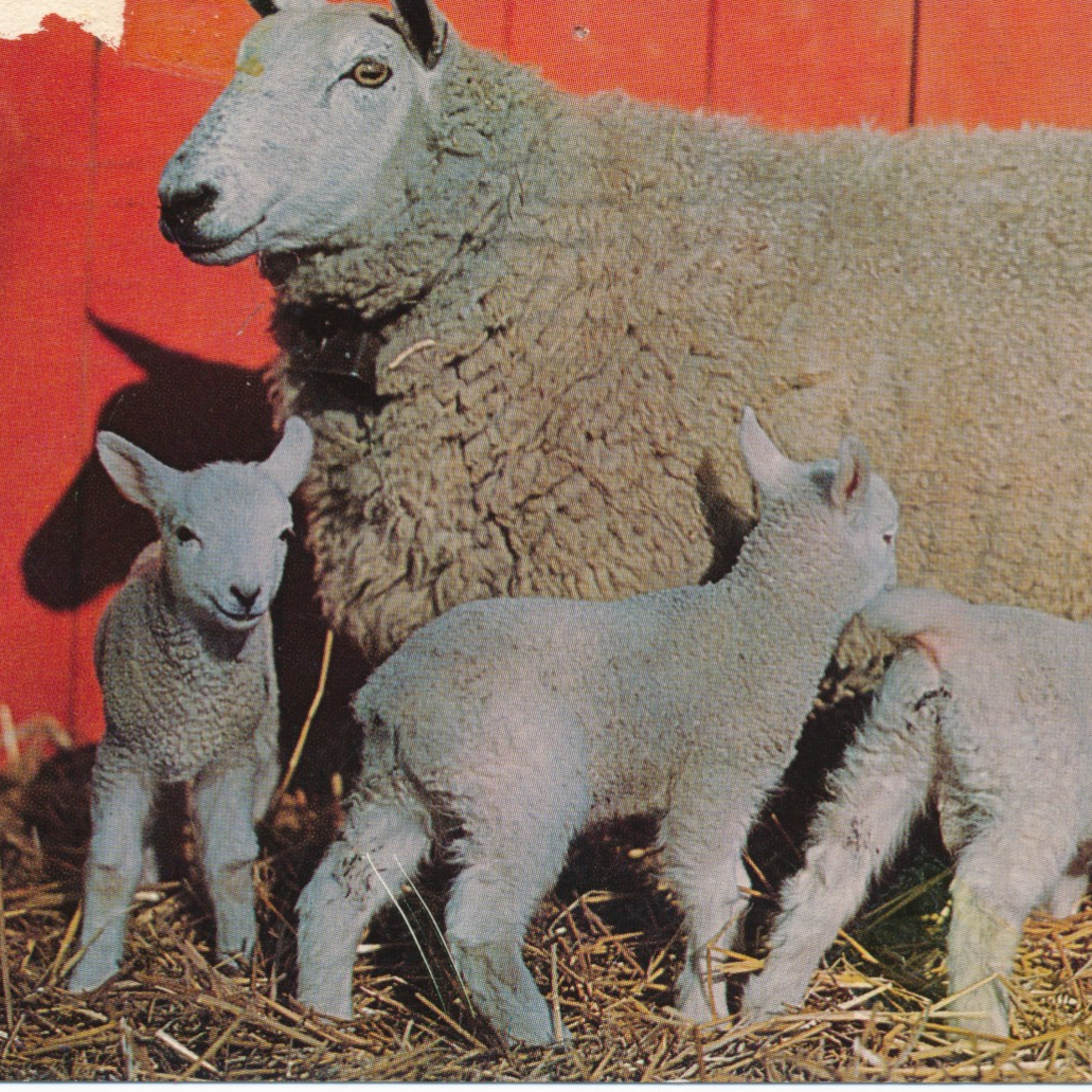 Richard Allen Gaines Sr