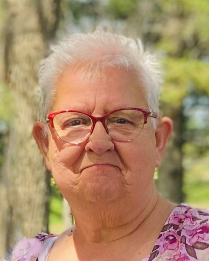 Barbara Renee Bittrich's obituary , Passed away on June 24, 2023 in Waterville, Minnesota