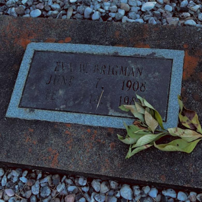 Eva (Welch) Brigman's obituary , Passed away on February 14, 1988 in Rockingham, North Carolina