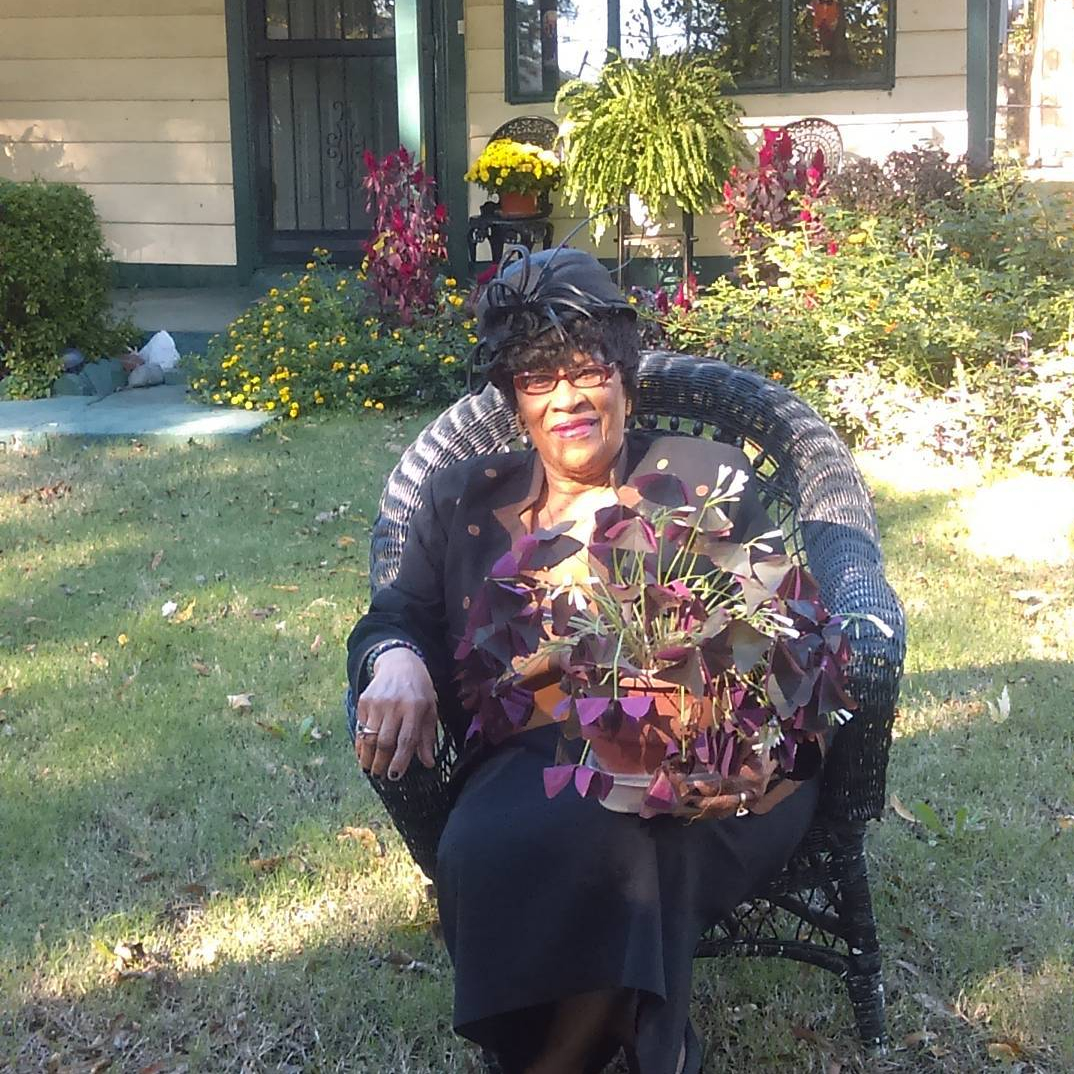 Rosie Lee Phillips's obituary , Passed away on August 25, 2023 in Memphis, Tennessee
