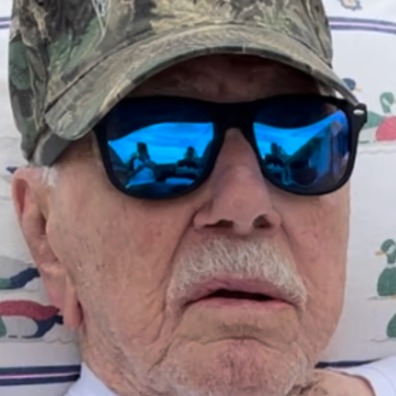 Louis Pizzo Obituary