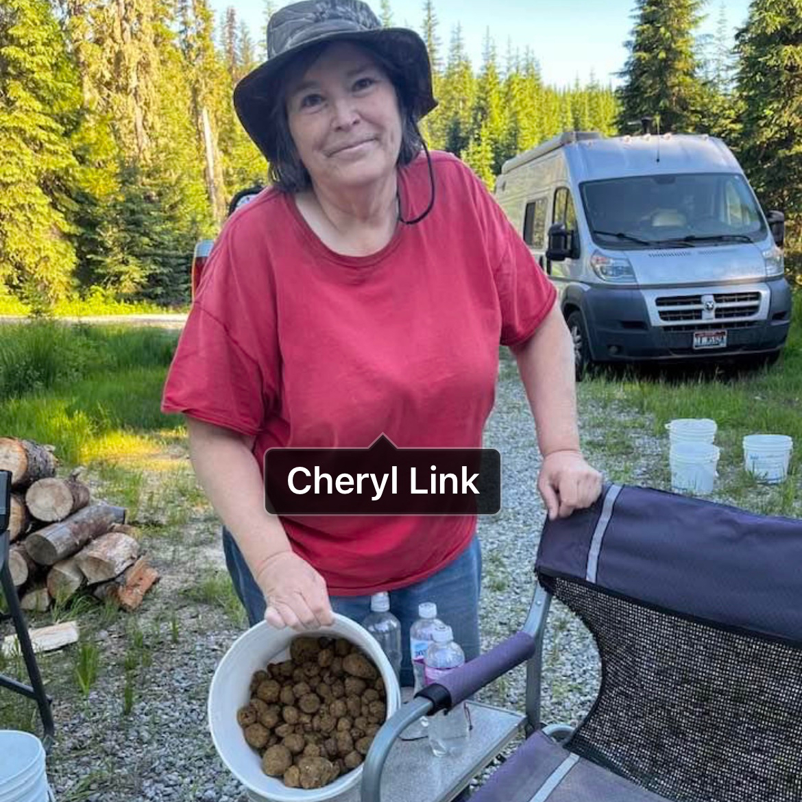 Cheryl Ann Link Obituary (1959 - 2023) | Boise, Idaho