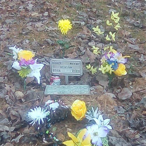 Doyle Wayne Henson
