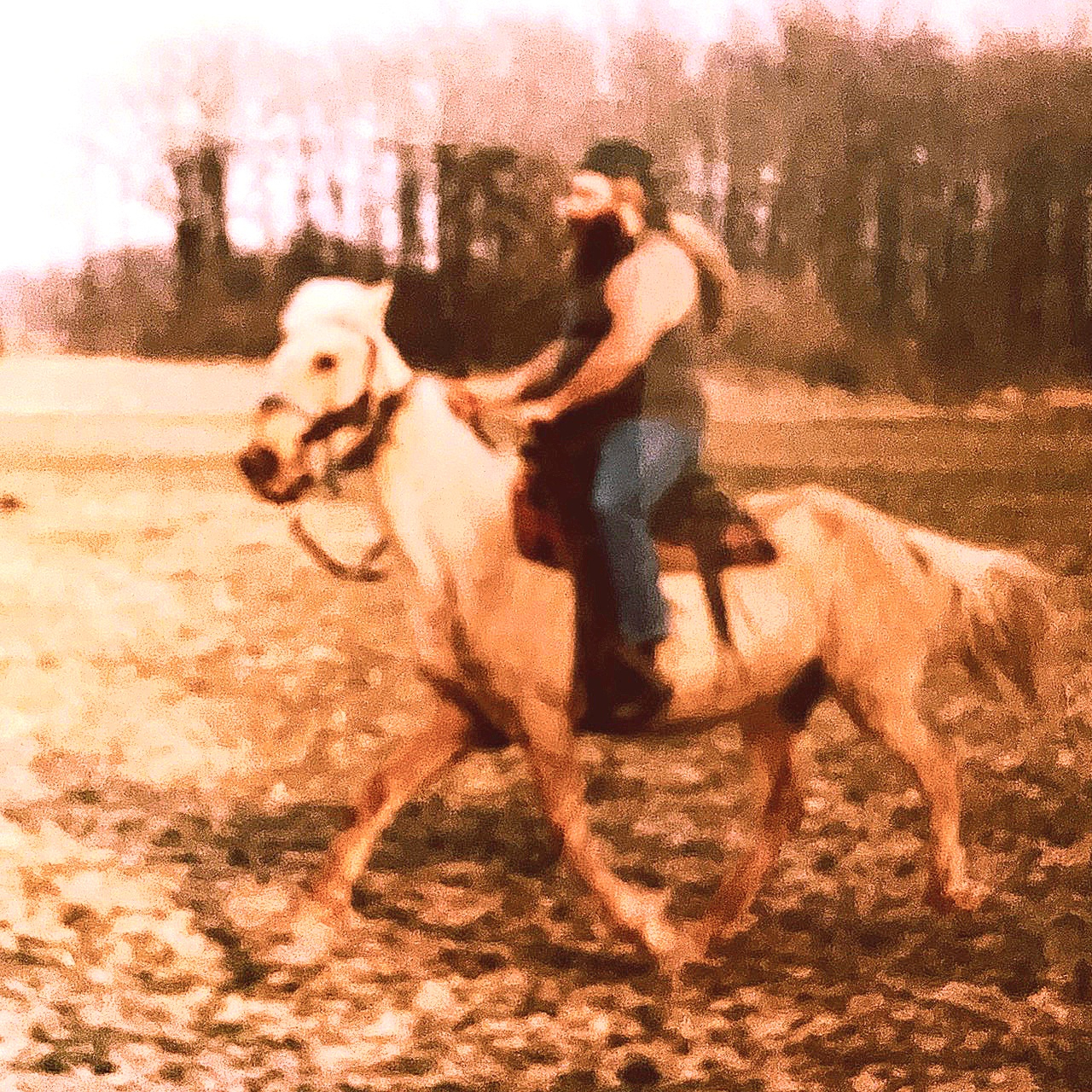 Terry "Rocky" Culp Sr.'s obituary , Passed away on October 20, 2023 in Lima, Ohio