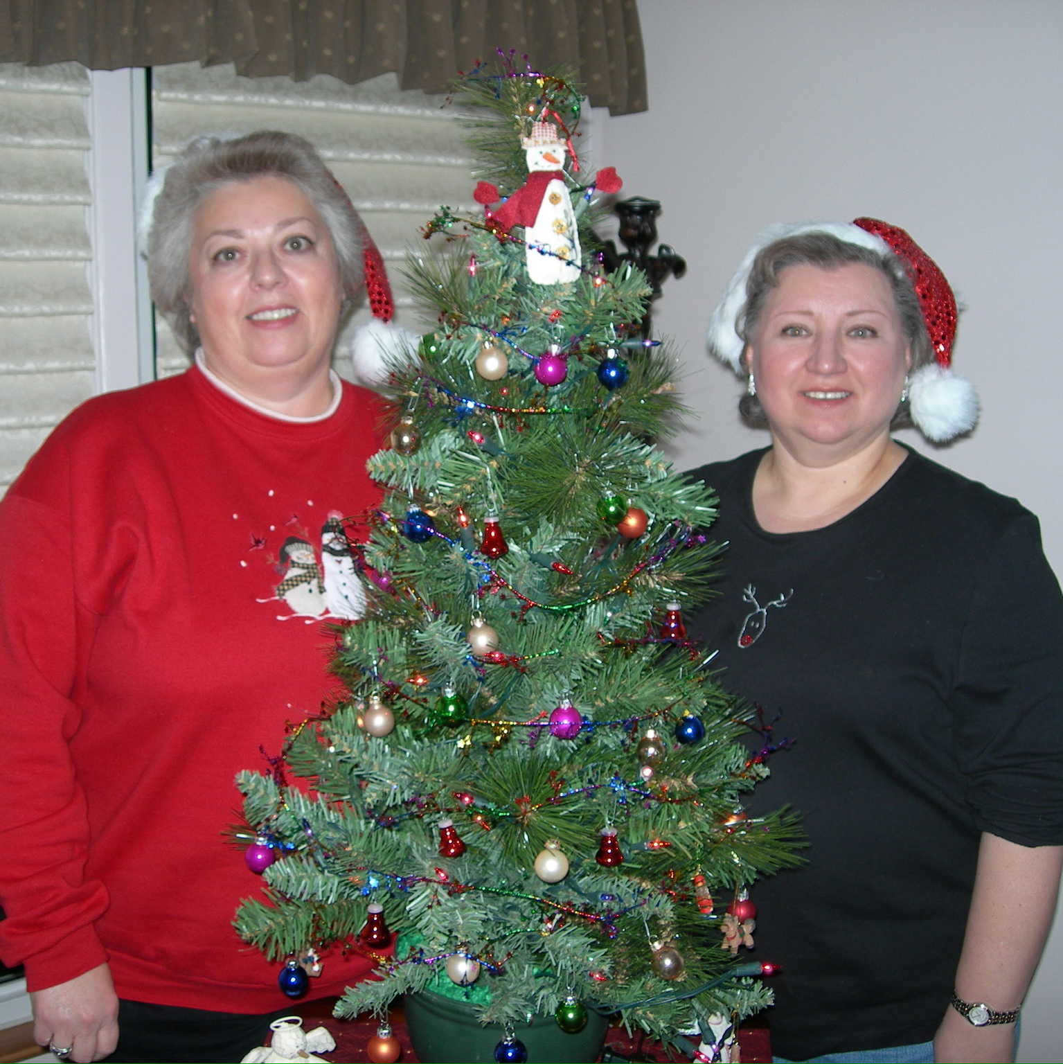 Charlene J. Szczepanski