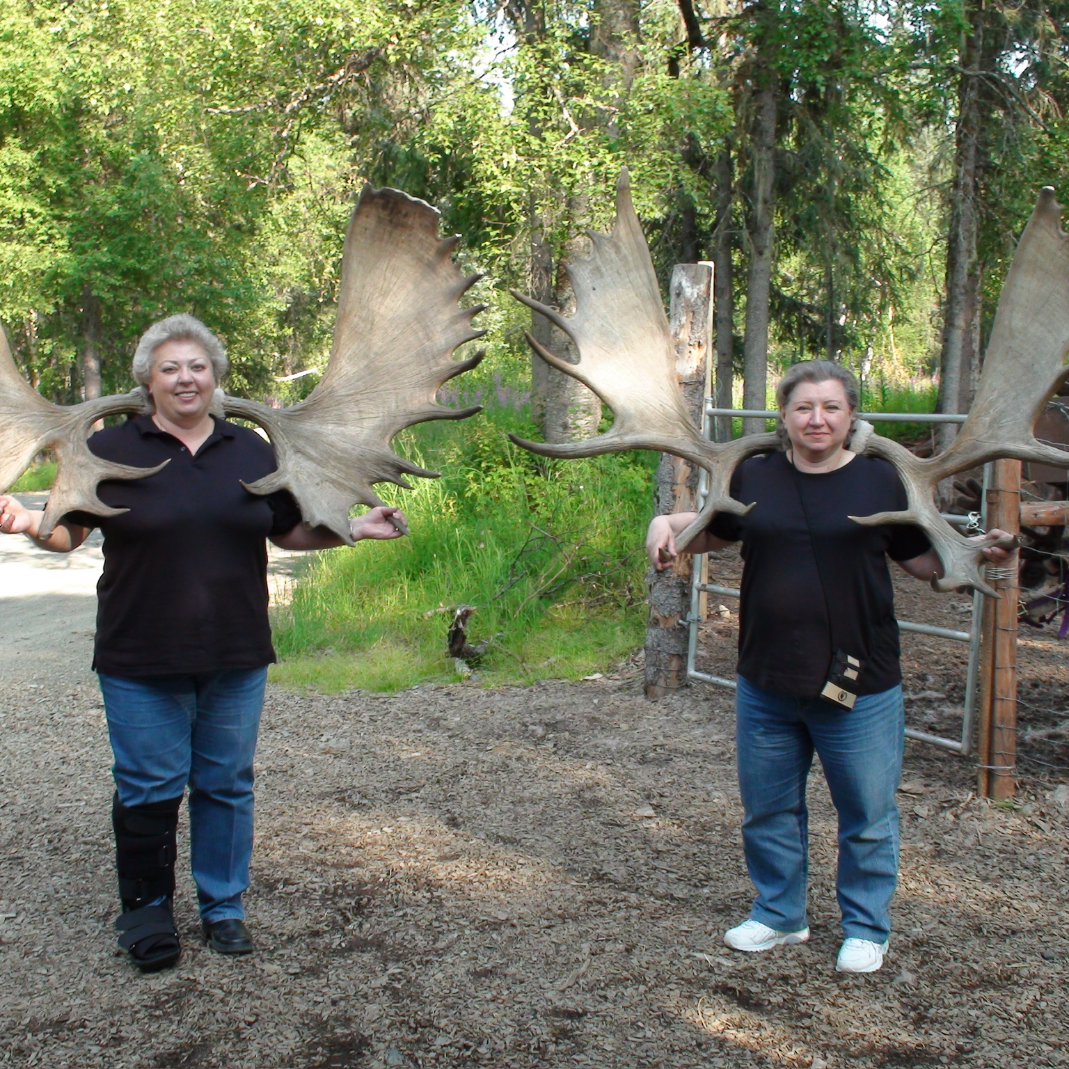 Charlene J. Szczepanski