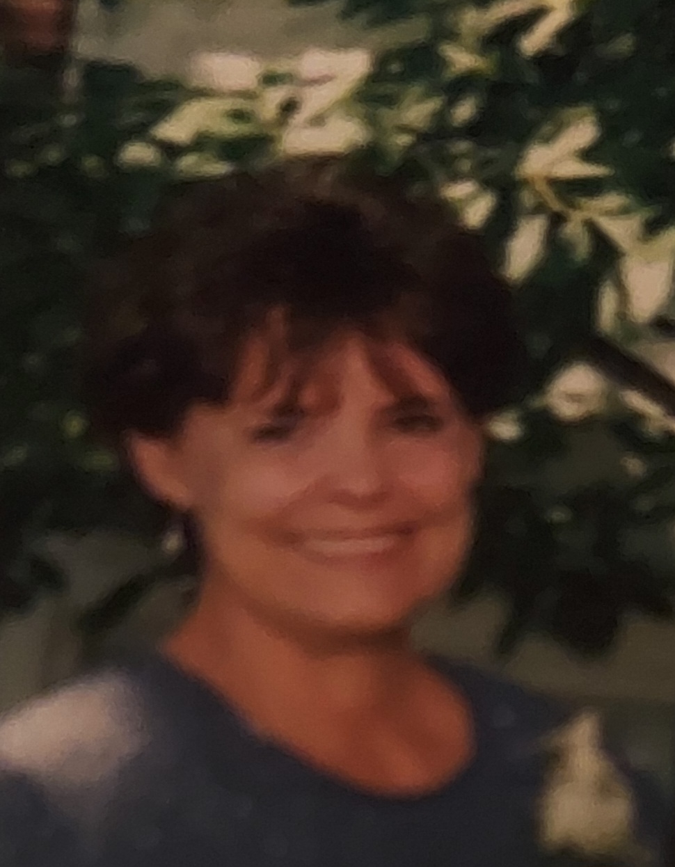 Sally Elaine Wolf's obituary , Passed away on January 22, 2024 in Menomonee Falls, Wisconsin