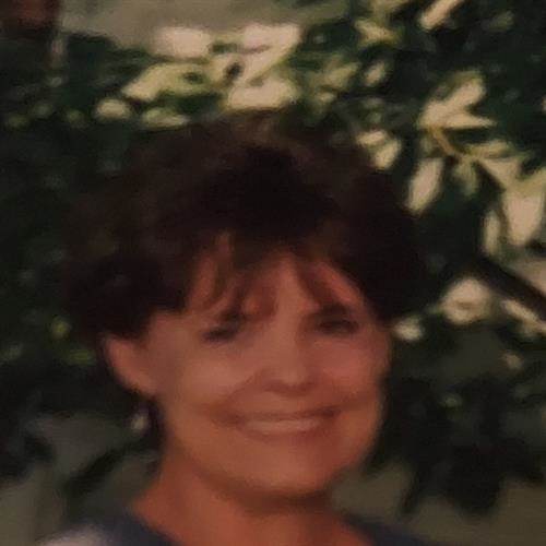 Sally Elaine Wolf's obituary , Passed away on January 22, 2024 in Menomonee Falls, Wisconsin