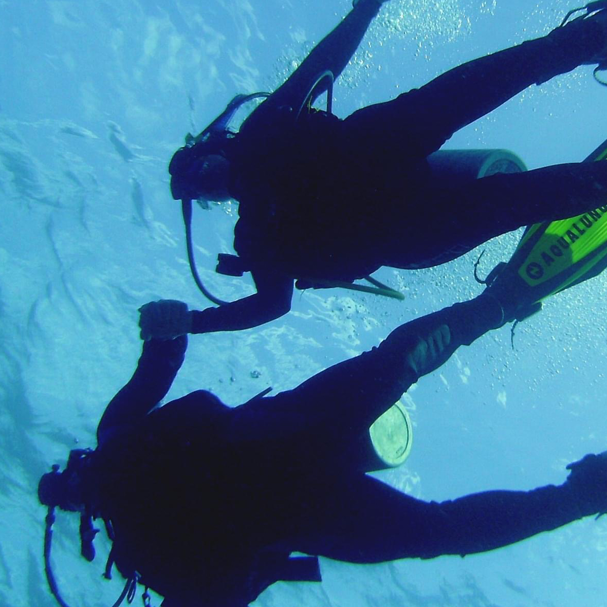 Joseph Charles Adams