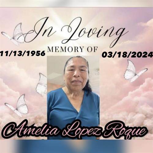 Amelia Lopez Roque's obituary , Passed away on March 18, 2024 in Omaha, Nebraska