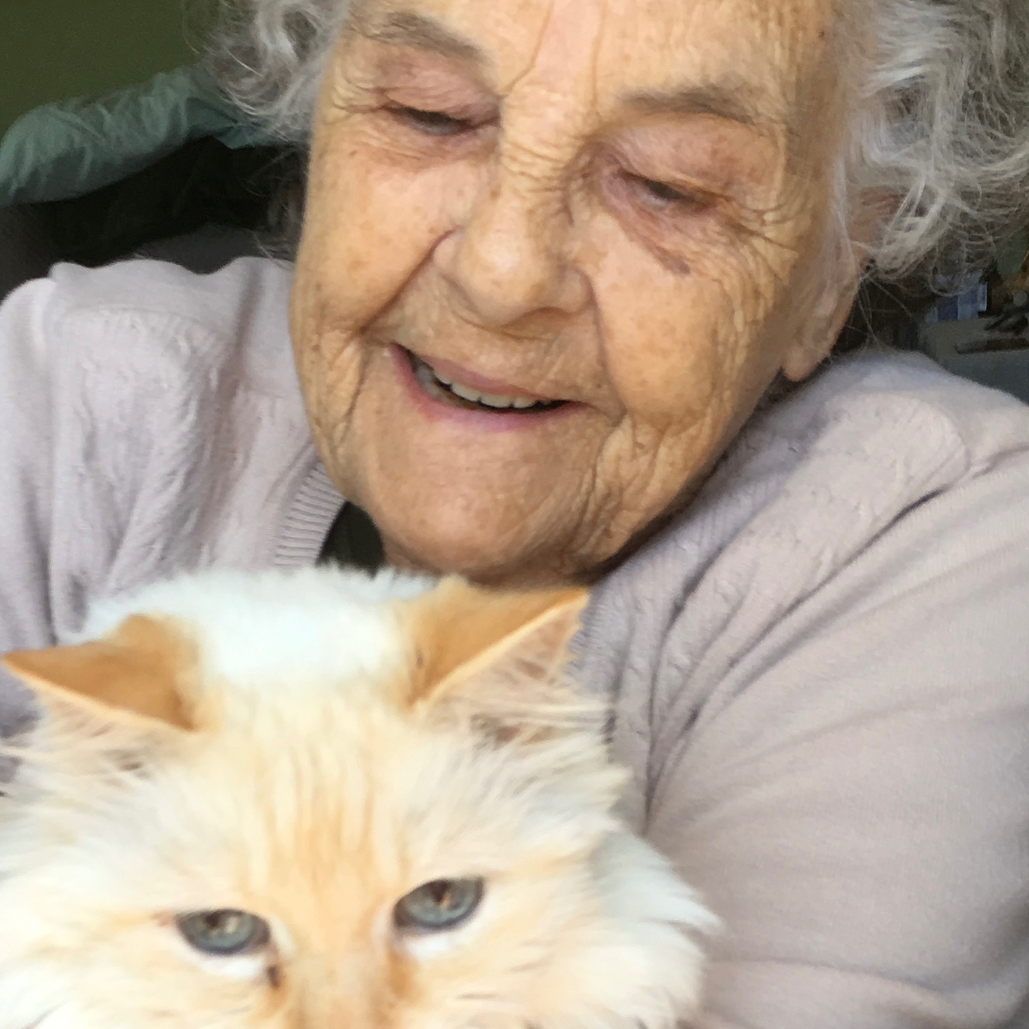 Iris Kathleen (Stevens) Johnston