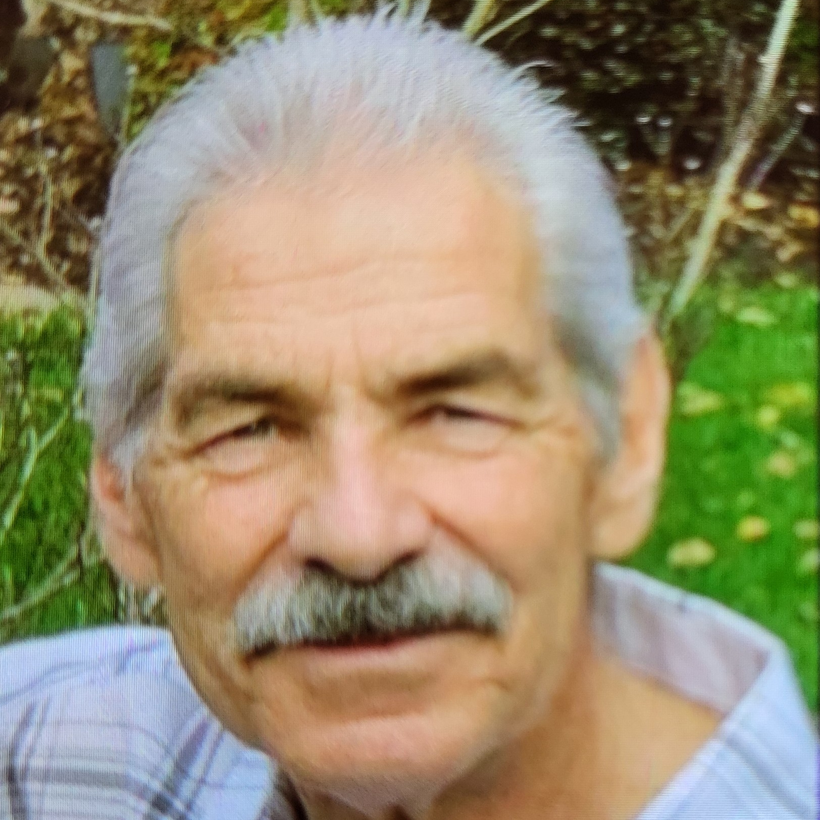 Loye Don Greer Obituary